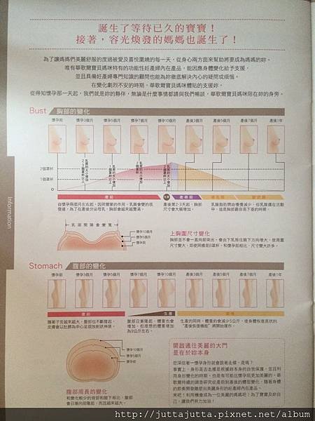 [孕婦內衣] 華歌爾媽咪寶貝