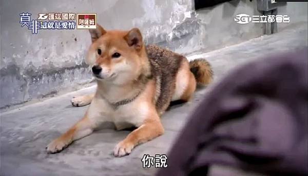 莫非4