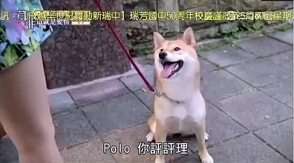莫非6