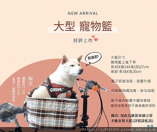 新品上市_副本1.png