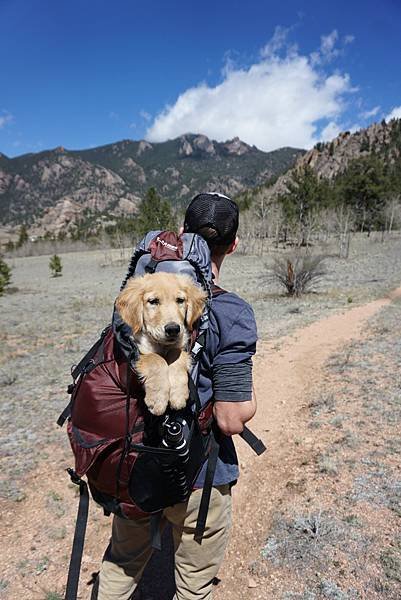 攝影師：Spencer Gurley Films from pexels.jpg