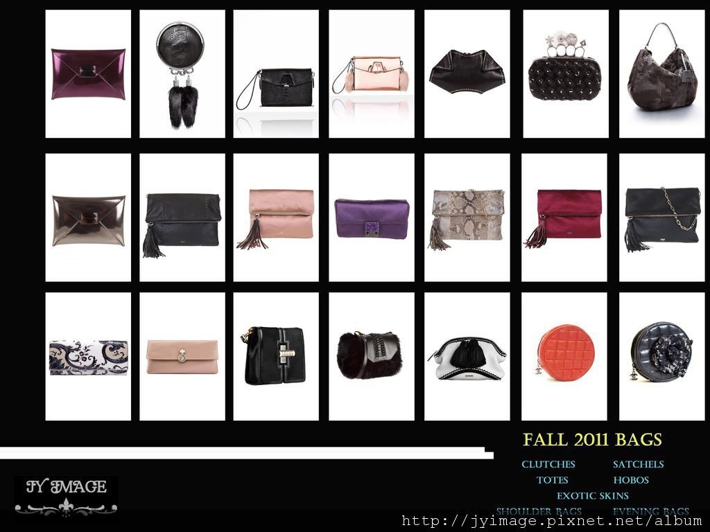 accessories 2011.jpg