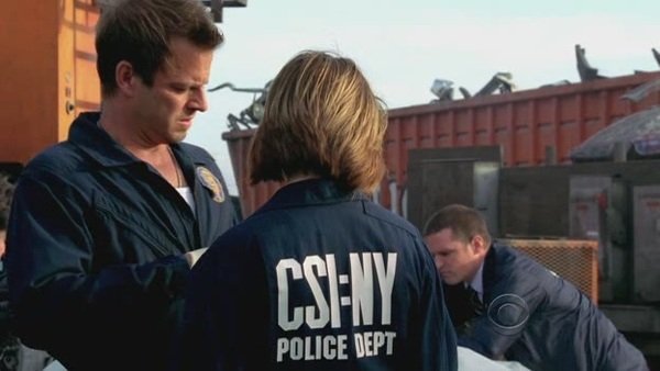 CSI.New.York.S05E09.HDTV.XviD-LOL[(008593)12-11-45].JPG