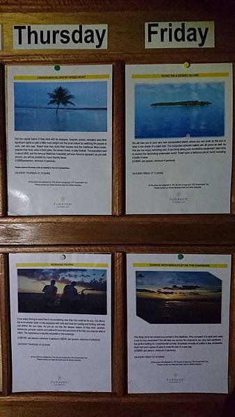 DSC_5391_mh1497411132135.jpg
