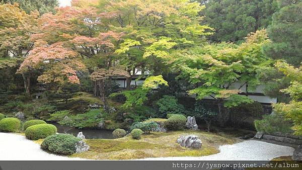 【遊記】2015年奈良、京都行照片集錦-5