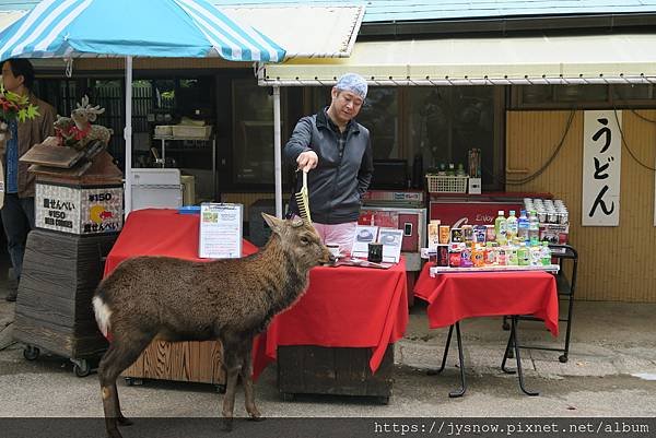 【遊記】2017年京都、奈良行照片集錦-1