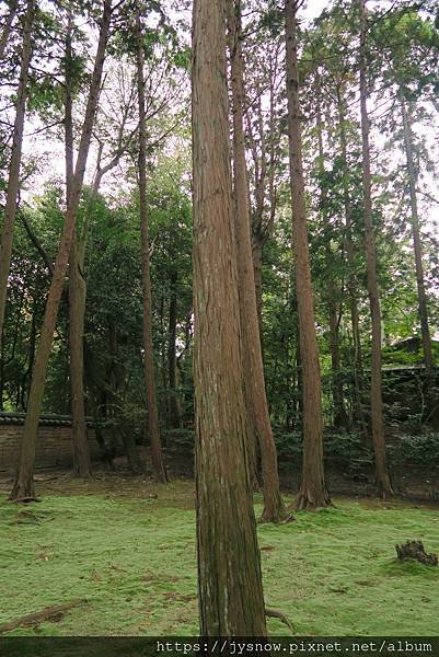 【遊記】2017年京都、奈良行照片集錦-1