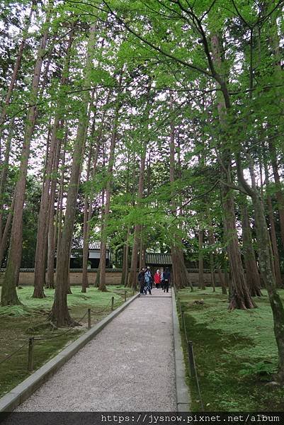 【遊記】2017年京都、奈良行照片集錦-1