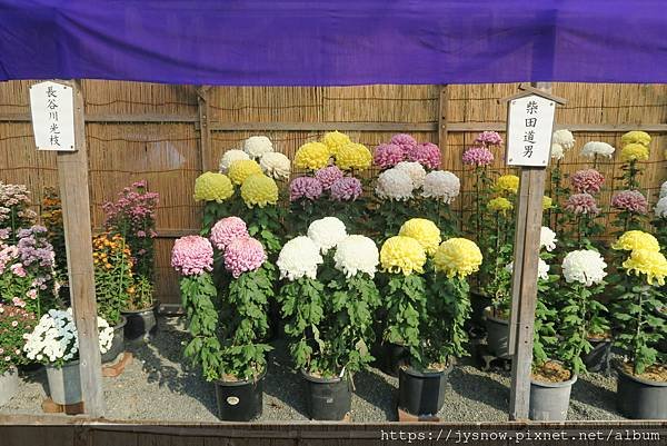 【遊記】2017年京都、奈良行照片集錦-2（泉涌寺）