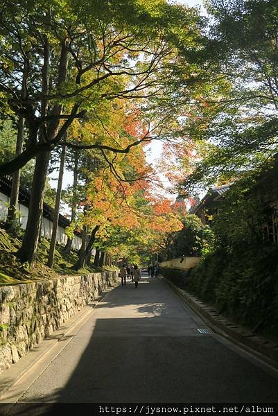 【遊記】2017年京都、奈良行照片集錦-5（東福寺）