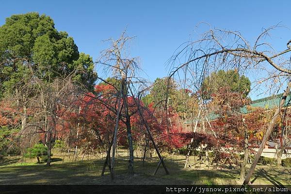 【遊記】2019年京都：平安神宮