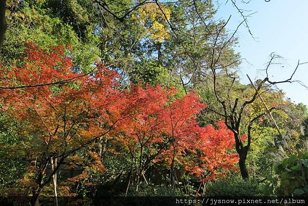 【遊記】2019年京都：平安神宮