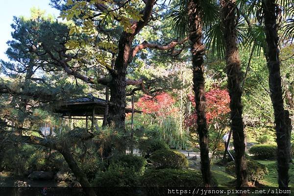 【遊記】2019年京都：平安神宮