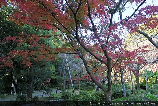 【遊記】2019年京都：平安神宮