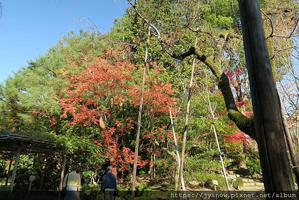 【遊記】2019年京都：平安神宮