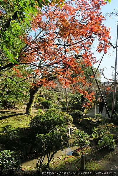 【遊記】2019年京都：平安神宮