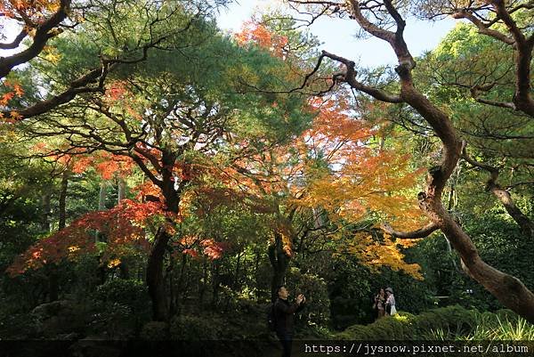 【遊記】2019年京都：平安神宮