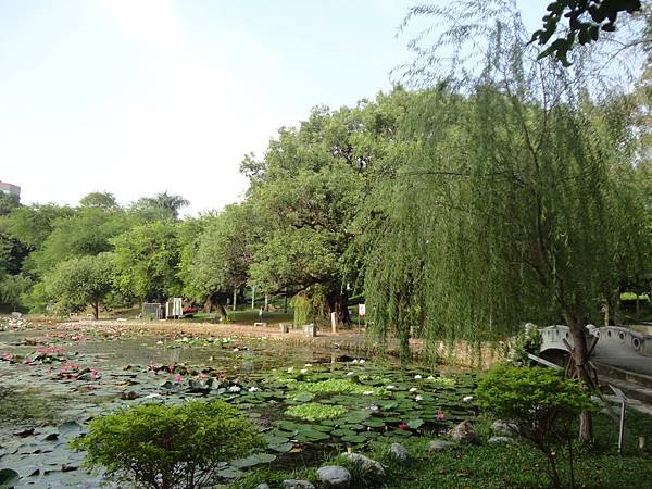 DSC03098