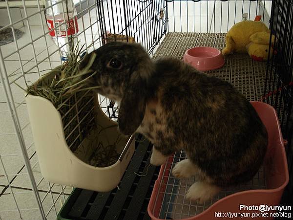 nEO_IMG_DSC01712.jpg
