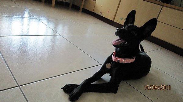 IMG_0293.JPG