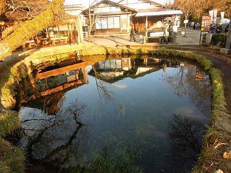 DSCN1577.JPG