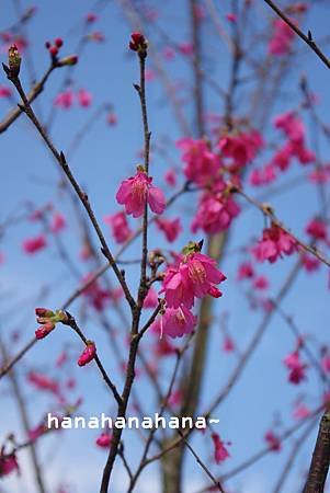 20120221 no.70-13