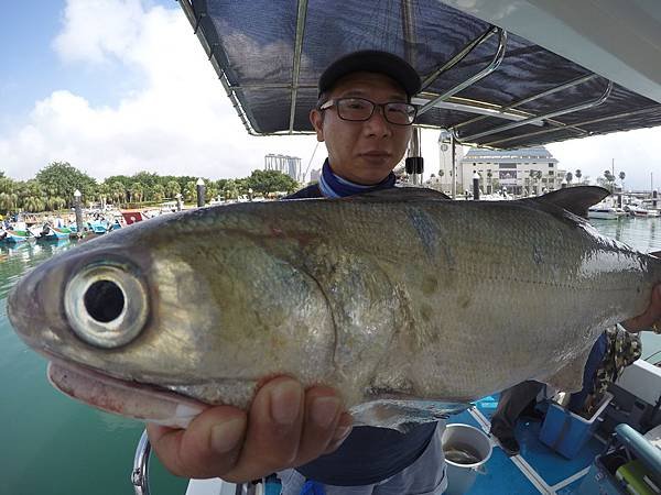 GOPR4872飛狼2018.10.26釣遊