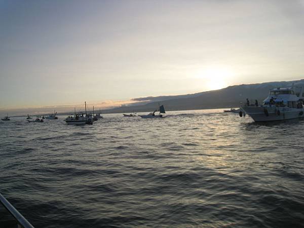 IMG_5913.JPG