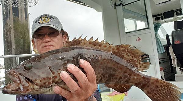 20190318_153435-crop.jpg