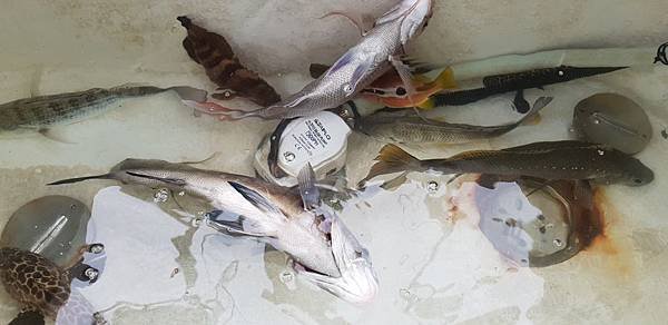 20190403_133028.jpg