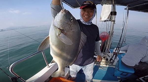 飛狼2019.7.30(🌞早班)釣遊1564810392894