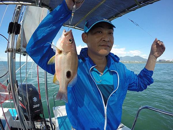 飛狼2019.7.30(⭐️午班)釣遊🎣