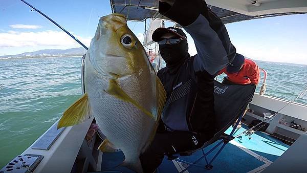 飛狼2019.7.30(⭐️午班)釣遊🎣1564991035002