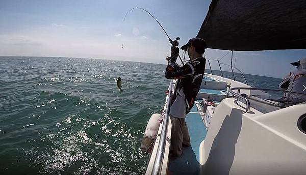 飛狼2019.7.30(⭐️午班)釣遊🎣1564991097245