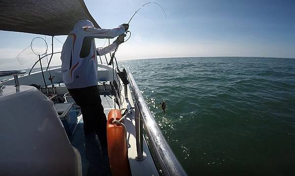 飛狼2019.7.30(⭐️午班)釣遊🎣1564991291829