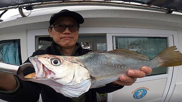 飛狼2020.12.27一森釣的鮸魚.jpg