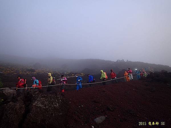 P9030149.jpg