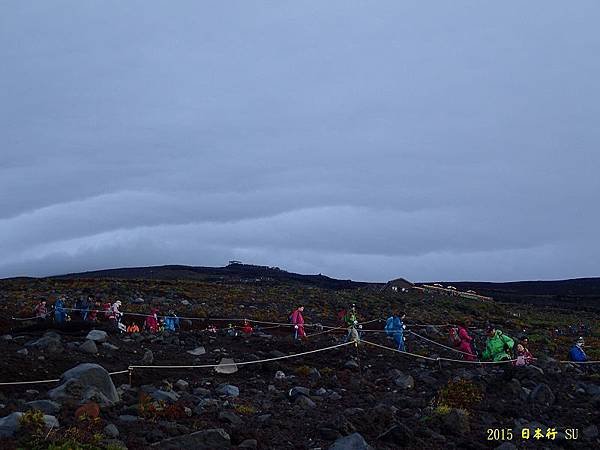 P9030210.jpg