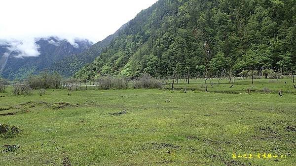 P6116225.jpg