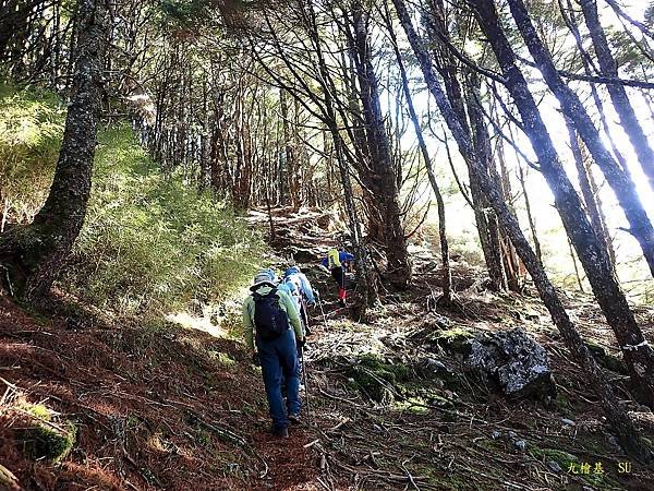裡冷林道登九仙山、檜山、基隆山（九檜基）、黎明神社