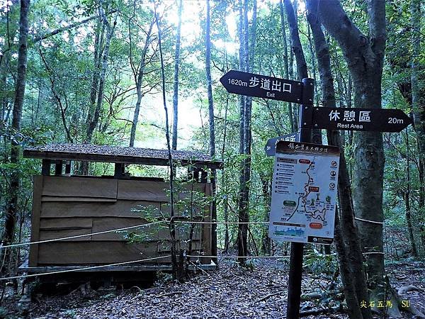 尖石五馬~馬望海山、馬洋山、南馬洋山