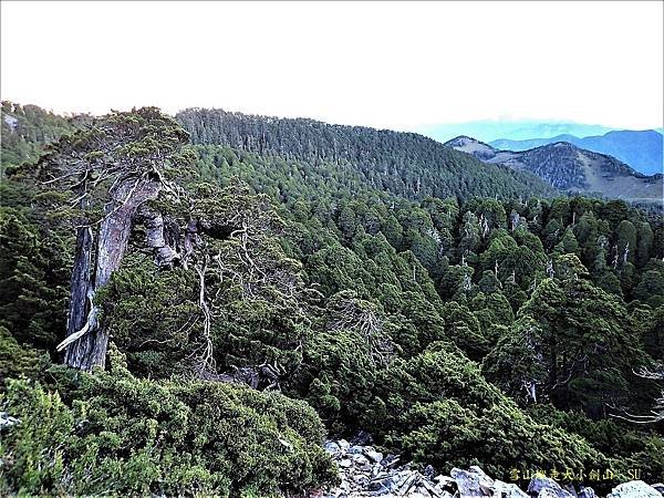 雪山縱走大小劍山~Ⅱ
