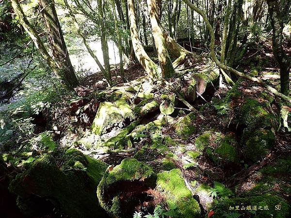加里山鐵道之旅
