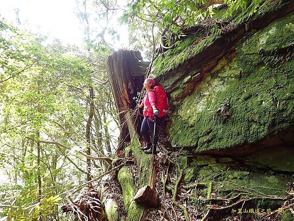 加里山鐵道之旅