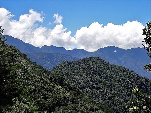 平石山林道