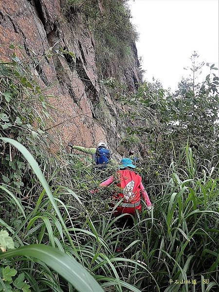 平石山林道