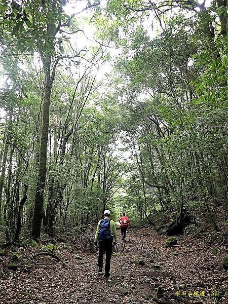 平石山林道