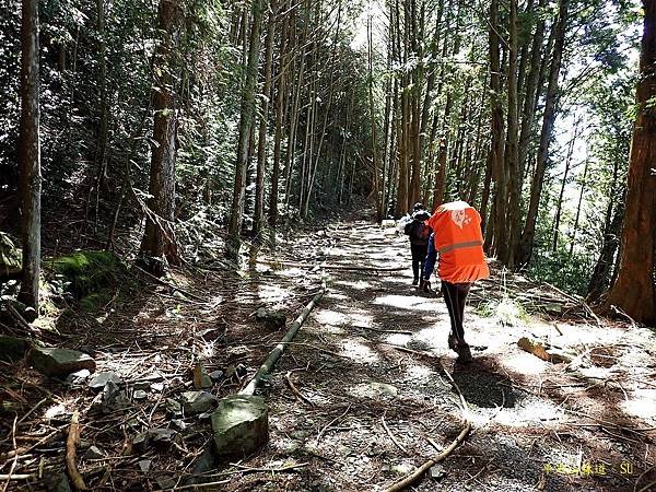 平石山林道