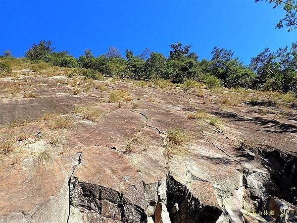 平石山林道