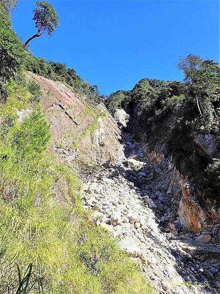 平石山林道